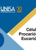 2020 (II) - Células Procarióticas e Eucarióticas - M. Unisa 1a aula